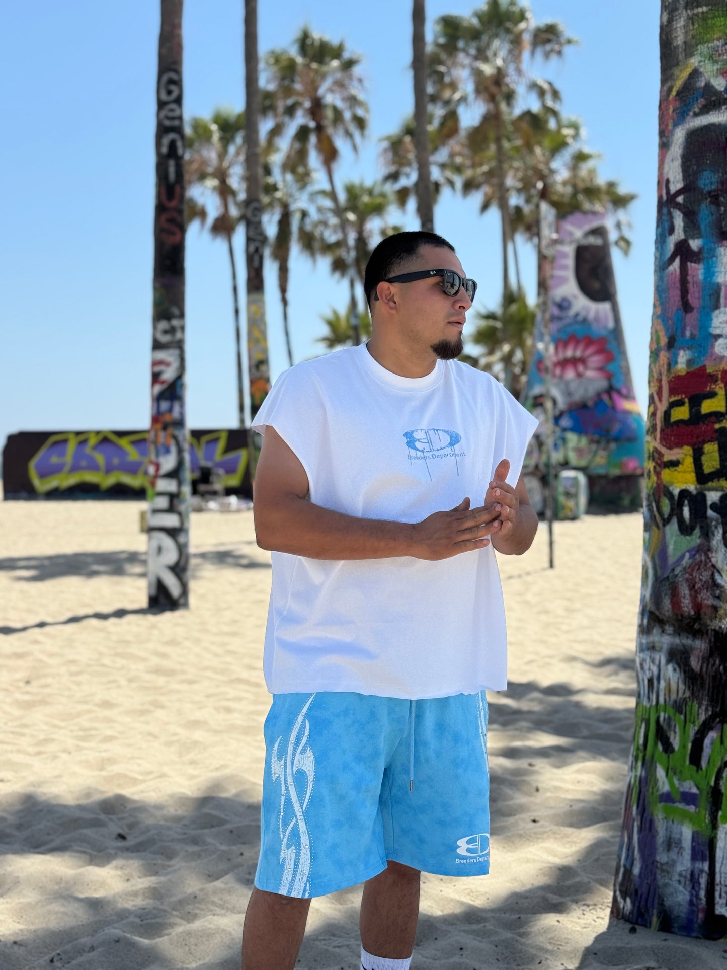 Venice Blue Set