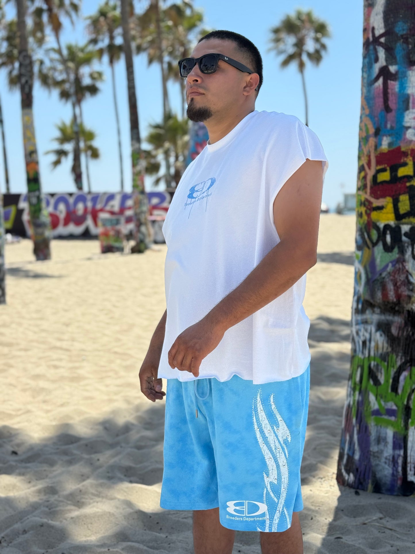 Venice Blue Set