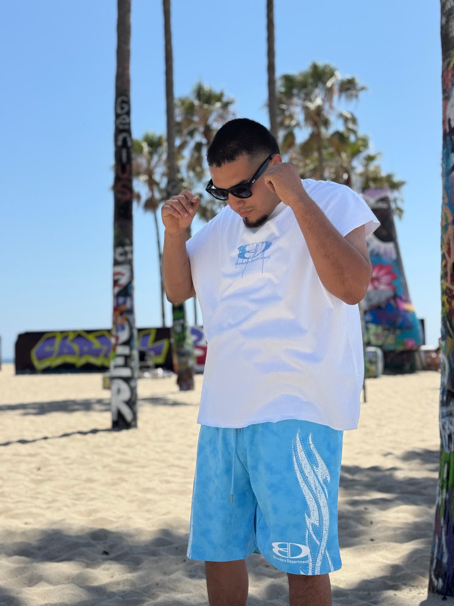 Venice Blue Set
